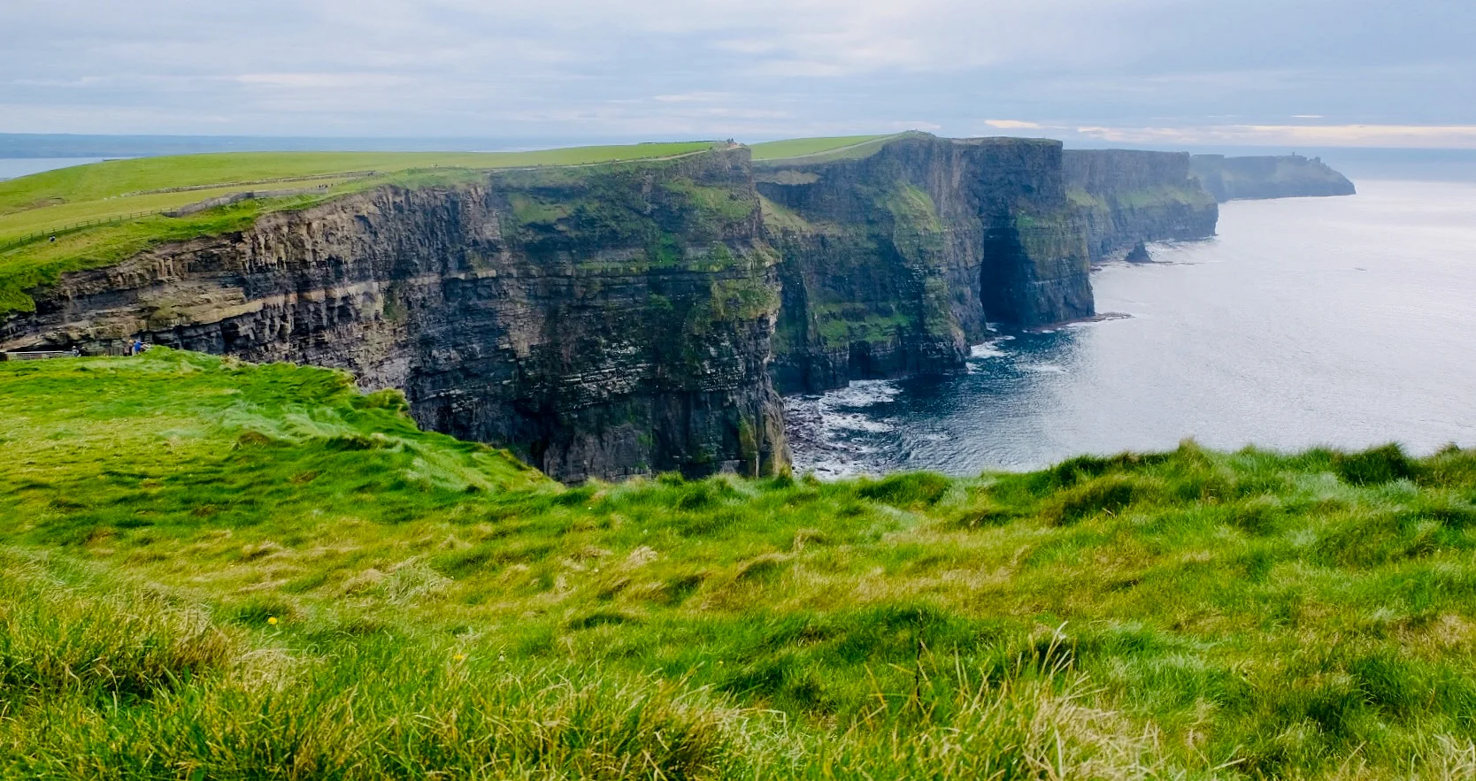Sheer dark sea cliffs meet the Atlantic beneath a grassy headland under a soft grey sky in County Clare, Ireland.