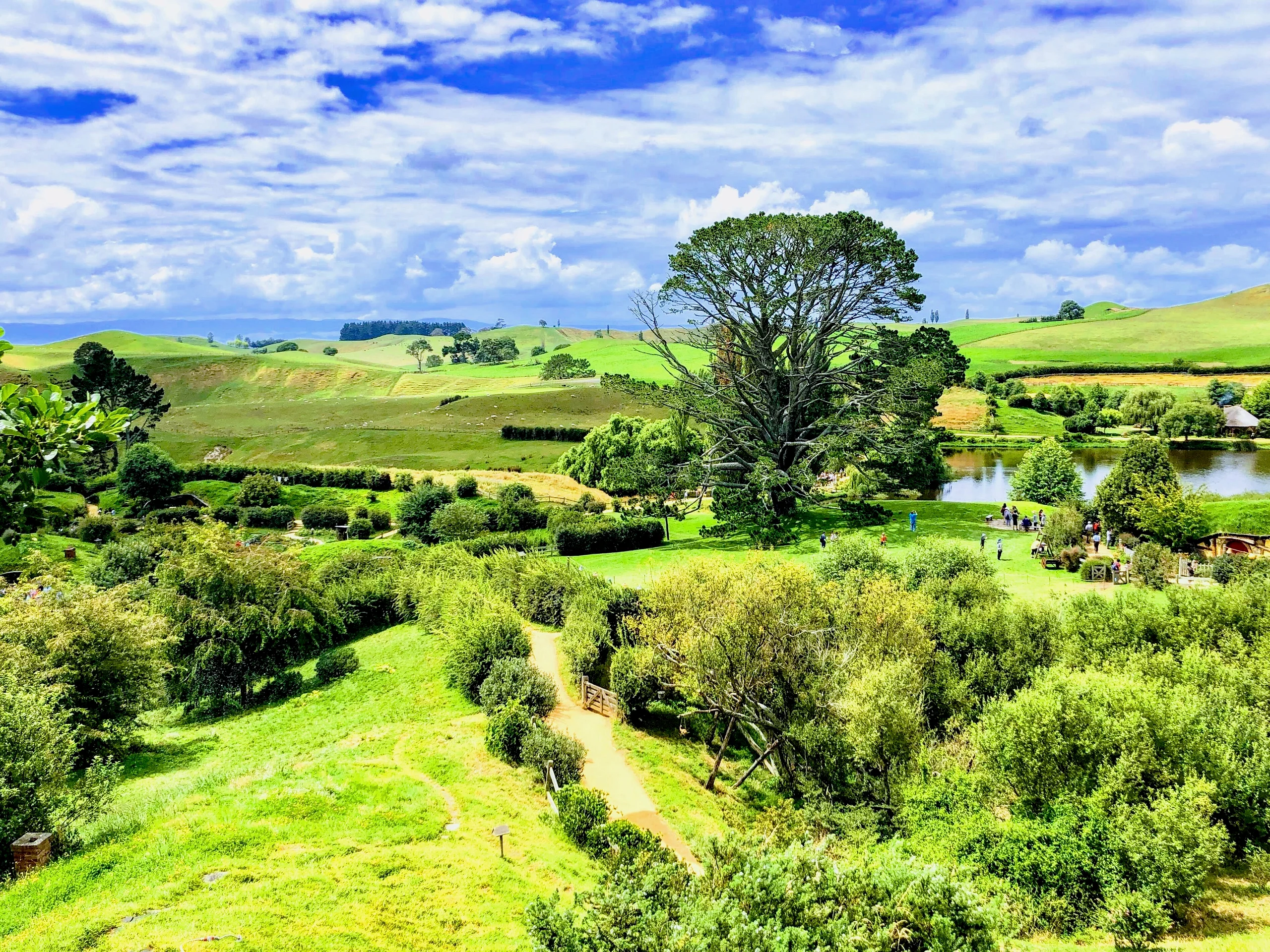 A large tree stands above green rolling hills and a small lake, with winding paths and visitors below under a bright cloudy sky.