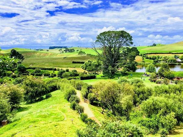 A large tree stands above green rolling hills and a small lake, with winding paths and visitors below under a bright cloudy sky.